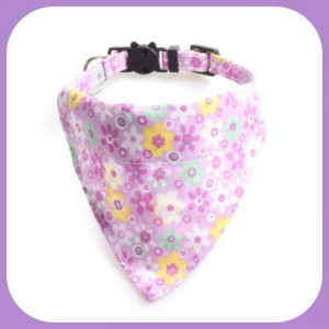 Collar-038
